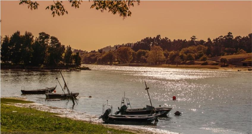 Just Like Home - Casa Do Sobreiro Velho Em Cerveira Vila Nova de Cerveira Eksteriør bilde